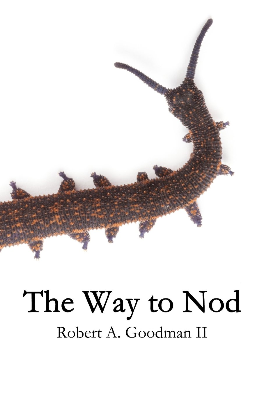 Cover of The Way to Nod (2017)